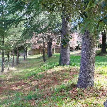 Villa Welcomely - Country House Perda E Testa
